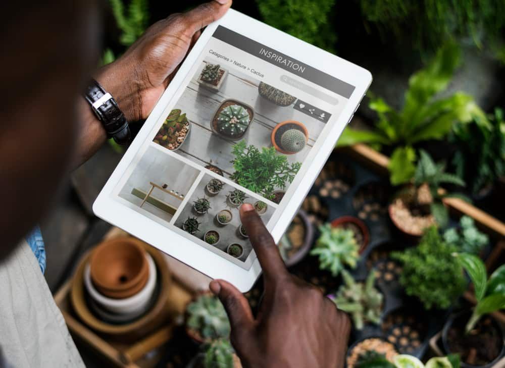 Forestry & Agriculture